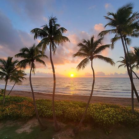 Bv103 - Amazing Oceanfront Condo Steps From Beach هوماكاو المظهر الخارجي الصورة