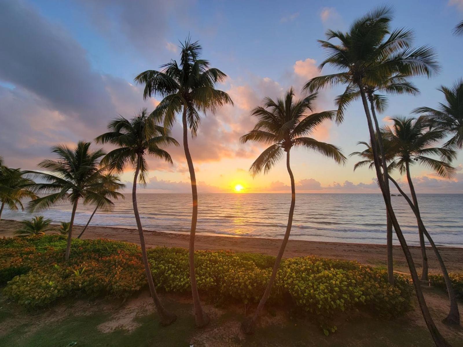 Bv103 - Amazing Oceanfront Condo Steps From Beach هوماكاو المظهر الخارجي الصورة