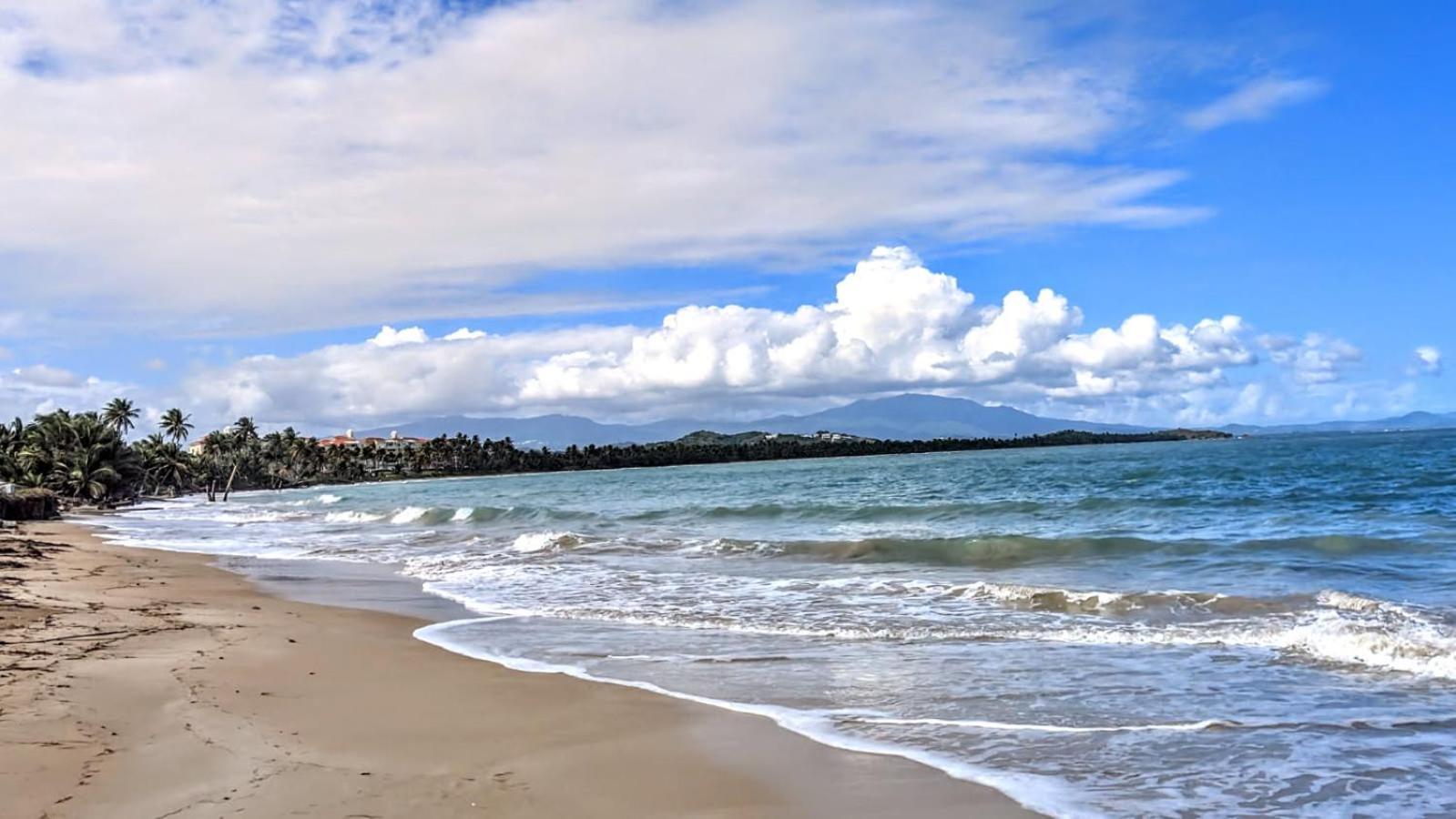Bv103 - Amazing Oceanfront Condo Steps From Beach هوماكاو المظهر الخارجي الصورة